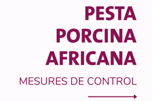 Mesures de Control pesta porcina africana