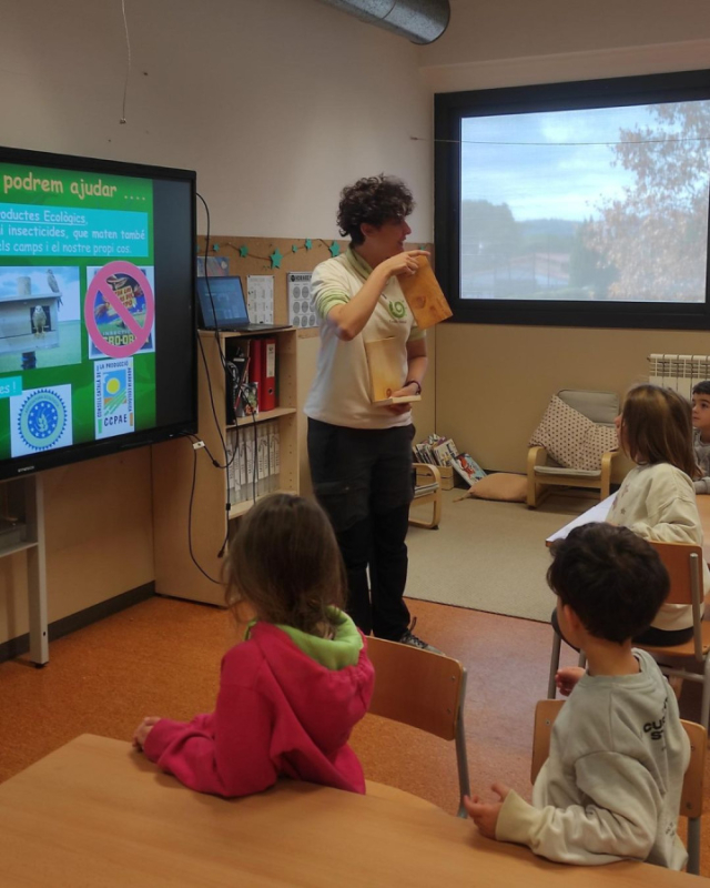 Alumnes de l'escola Mansuet col·laboren en la creació de caixes niu