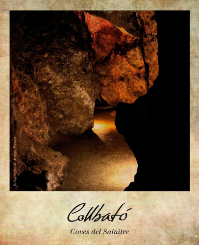 Postal digital-coves cara1