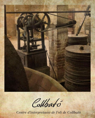 Postal digital-moli cara1
