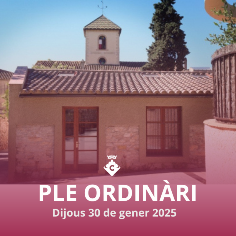 Ple ordinari 2025
