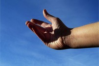Les activitats del cap de setmana se celebran al Casinet