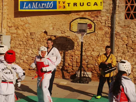 Marató TV3 4