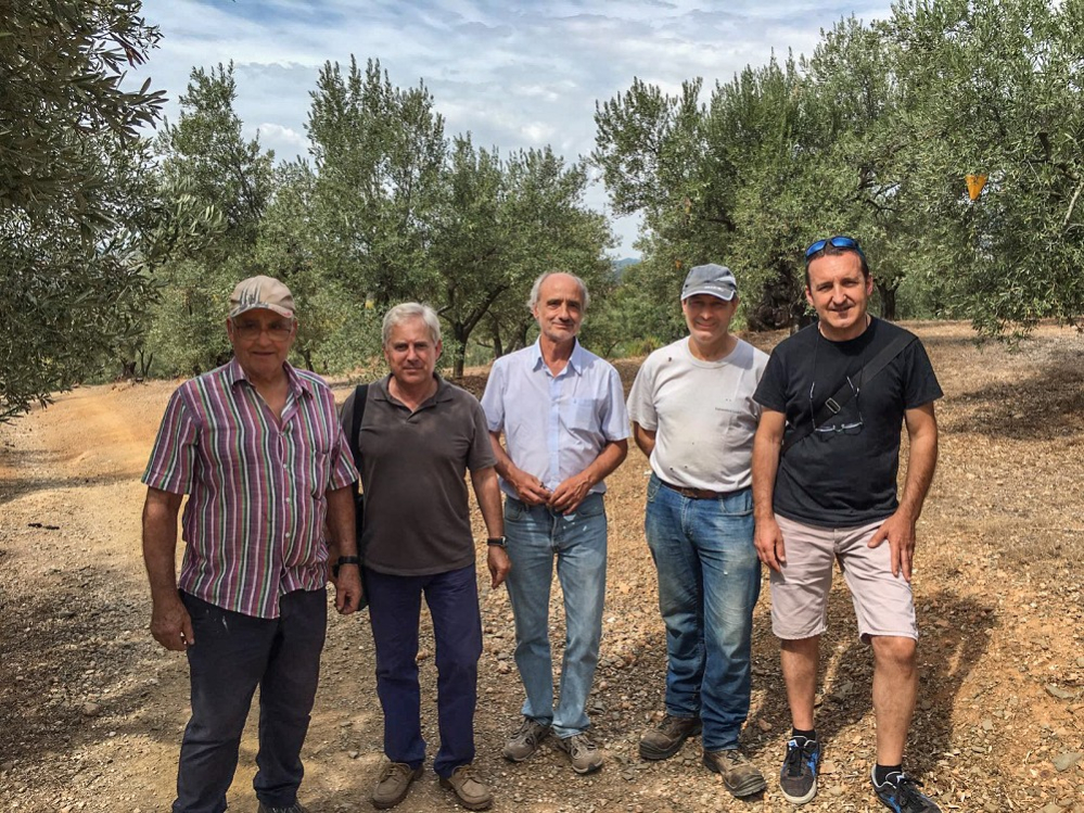 Visita al camps d'olivera