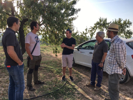 Visita al camps d'olivera
