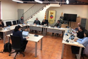 Ple Ordinari 26 de març de 2026