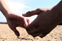 El projecte començarà aquesta tardor