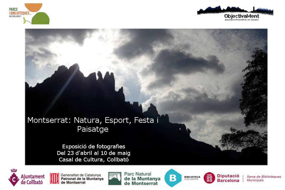 Cartell de l´exposició