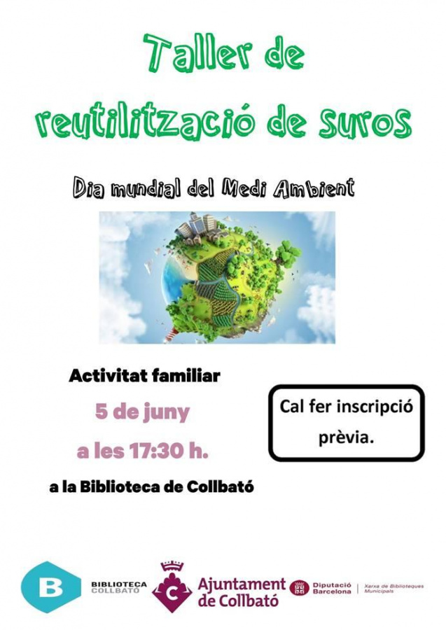 Cartell de l´activitat.