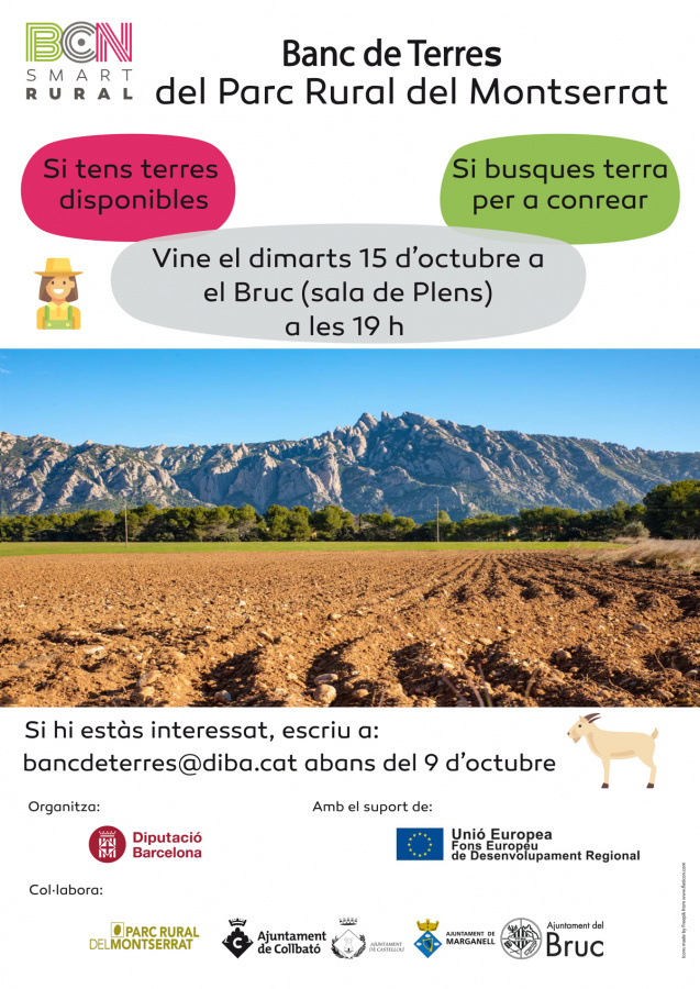 Cartell de la jornada