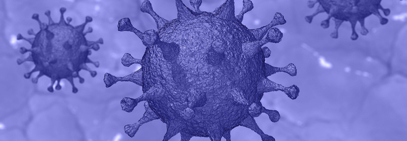 Coronavirus SARS-CoV-2